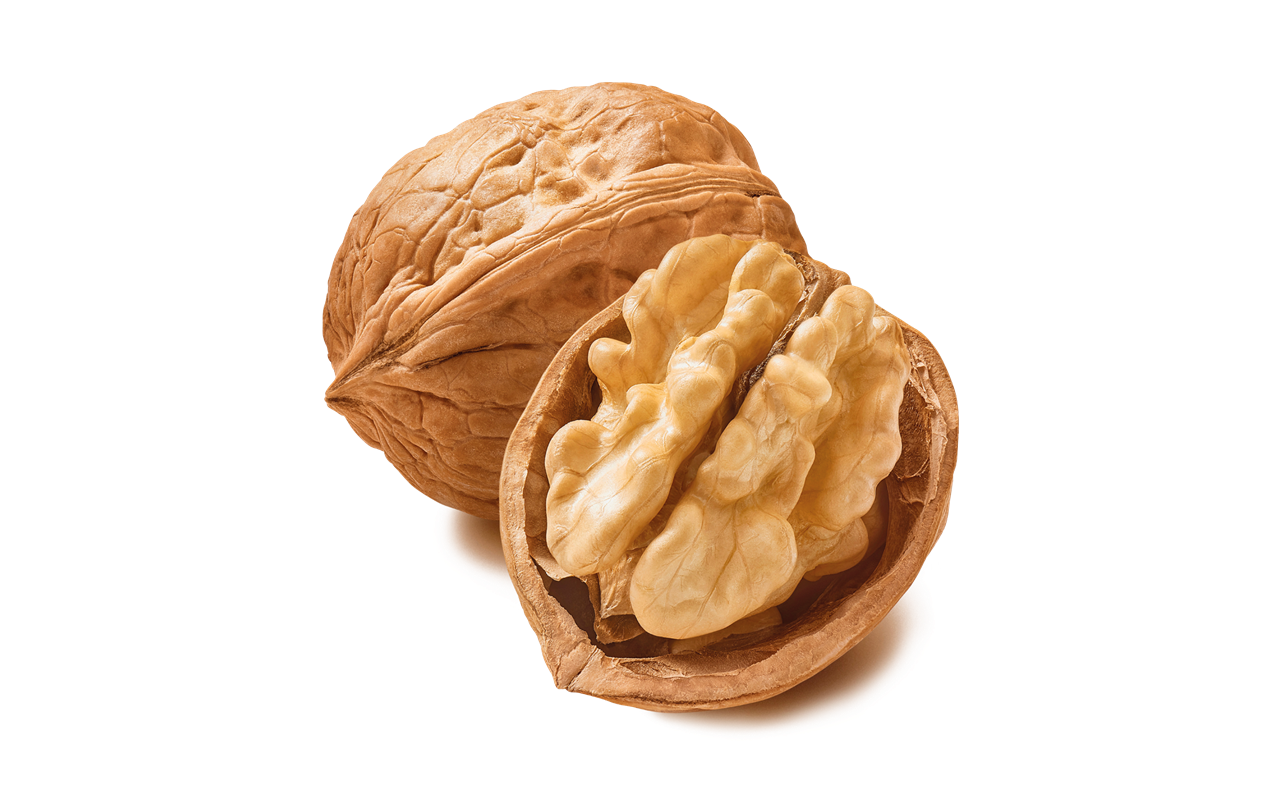 Fernor Walnut